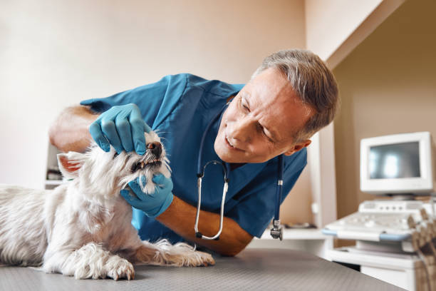 Best Weekend Emergency Dentist in West Sharyland, TX